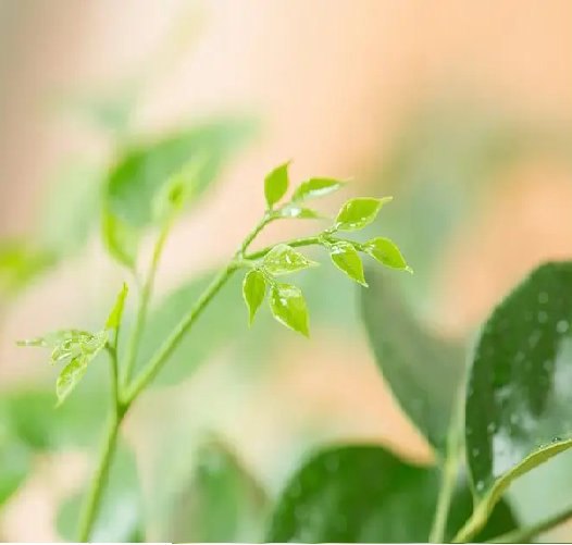 电脑开机后一直卡在正在启动windows界面怎么办？