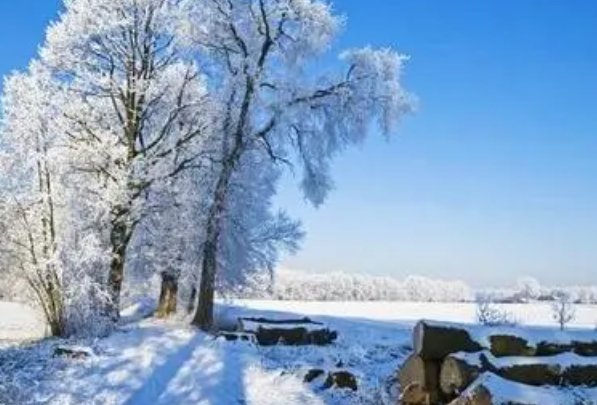 数九寒天冷风嗖绕口令