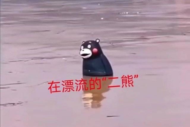 漂流的熊本熊还有一只没回家，为什么网友申请去下游寻找？