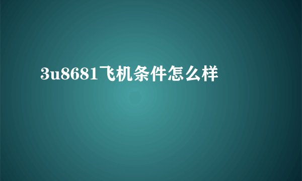 3u8681飞机条件怎么样