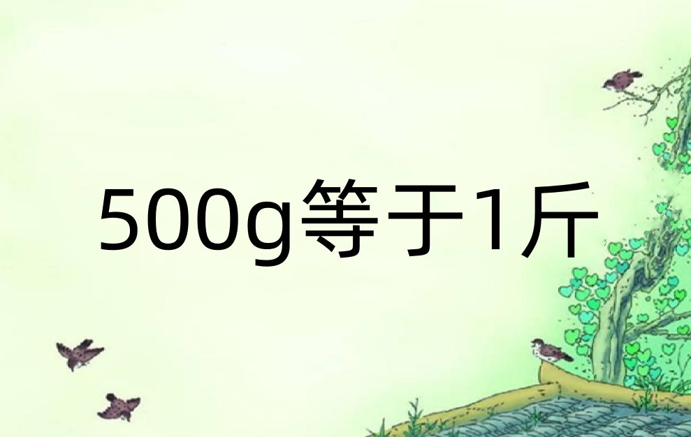 五百克是多少斤
