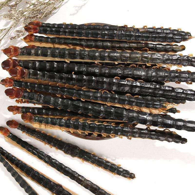 野生干蜈蚣多少一斤