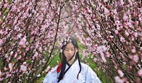 桃花不醉人自醉后半句是什么？