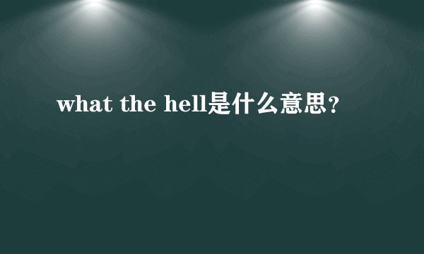 what the hell是什么意思？