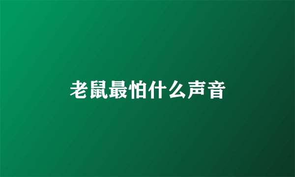 老鼠最怕什么声音