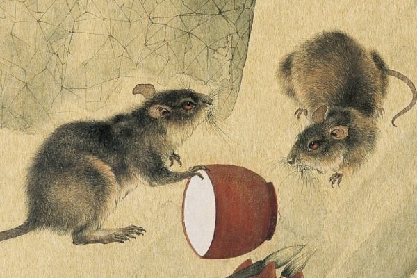 大笔一挥是什么生肖