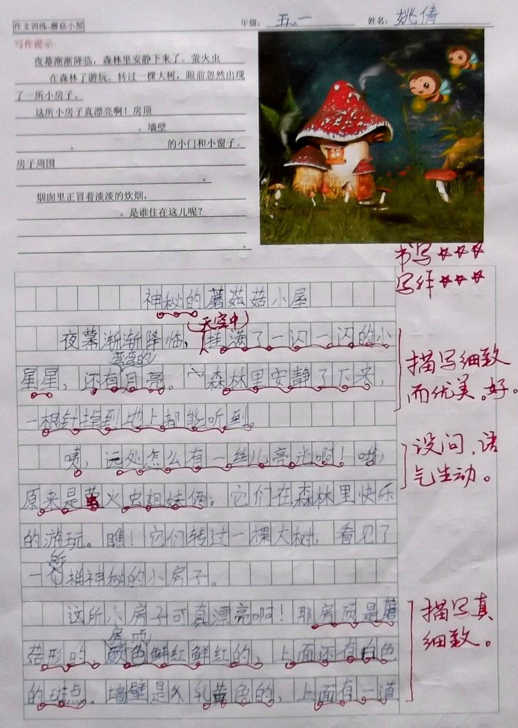 鸟鸟的倩的介绍