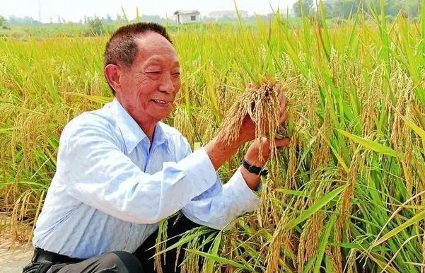 袁隆平感动中国人物颁奖词