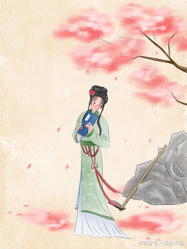 红楼梦里有两个女子一直想接近宝玉，她们是谁？