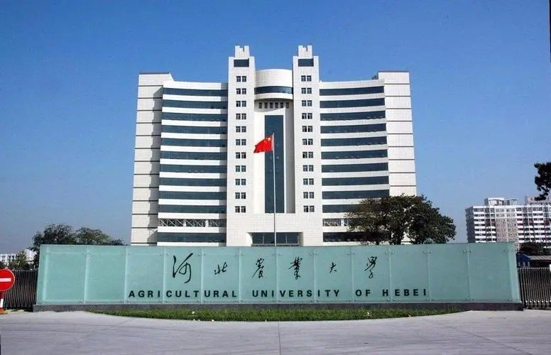 hebau是哪个大学