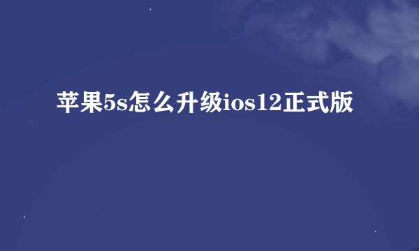 苹果5s怎么升级ios12正式版