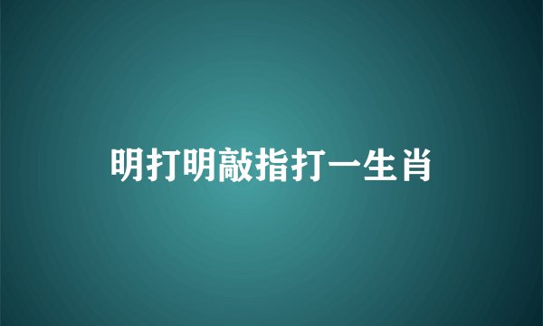 明打明敲指打一生肖