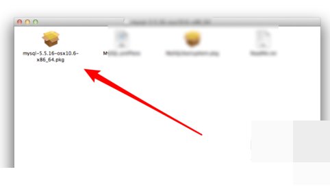 command not found怎么办