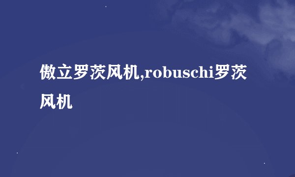 傲立罗茨风机,robuschi罗茨风机