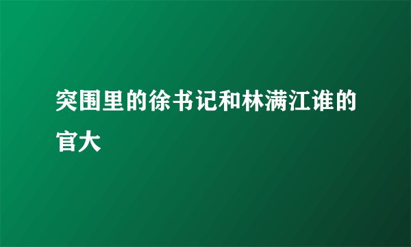 突围里的徐书记和林满江谁的官大