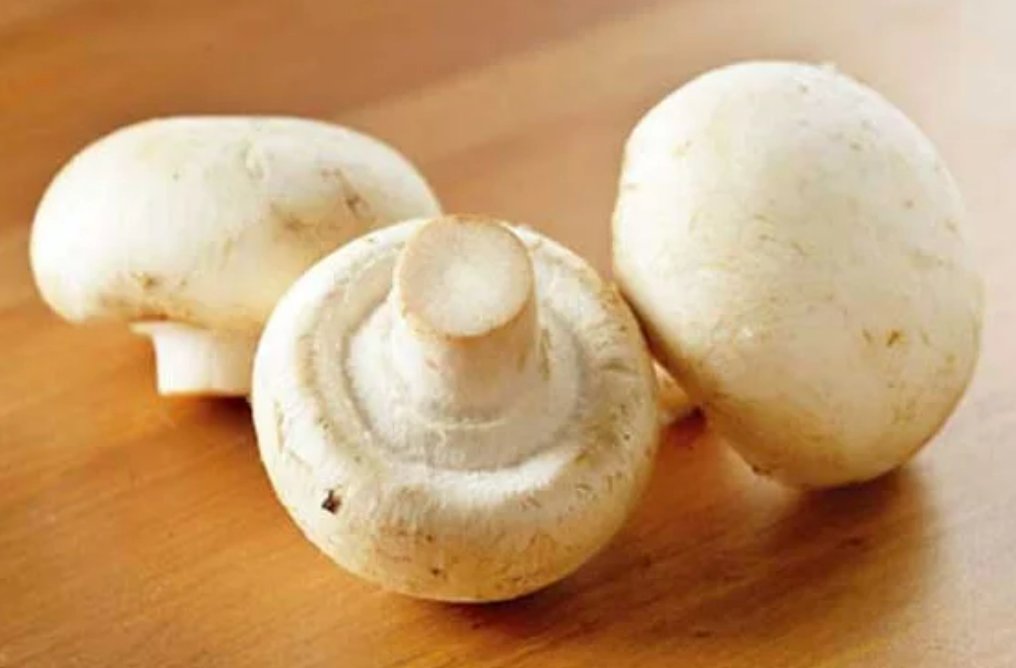 口蘑中的口字是什么