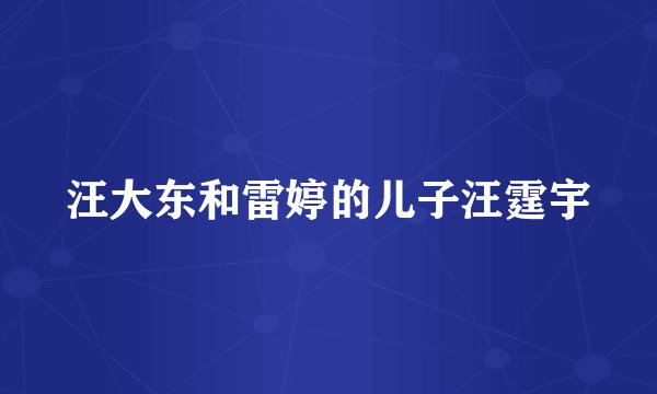 汪大东和雷婷的儿子汪霆宇