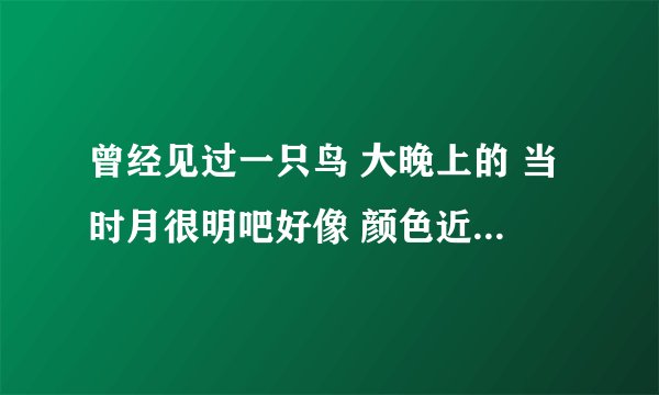曾经见过一只鸟 大晚上的 当时月很明吧好像 颜色近乎透明 可隐隐约约看的出是鸟轮廓 却感觉比鹰还