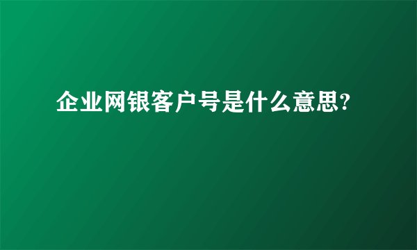 企业网银客户号是什么意思?