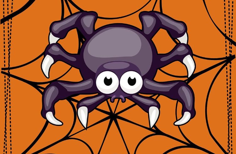 蜘蛛是特吗打一生肖