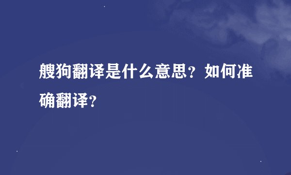 艘狗翻译是什么意思？如何准确翻译？
