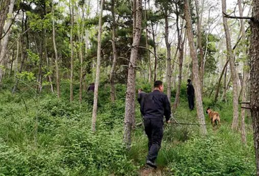 湖北一男孩在山林走失2天2夜自救成功，他到底做了什么？
