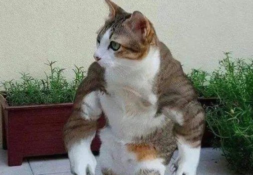 吹牛闲聊群名称有哪些？