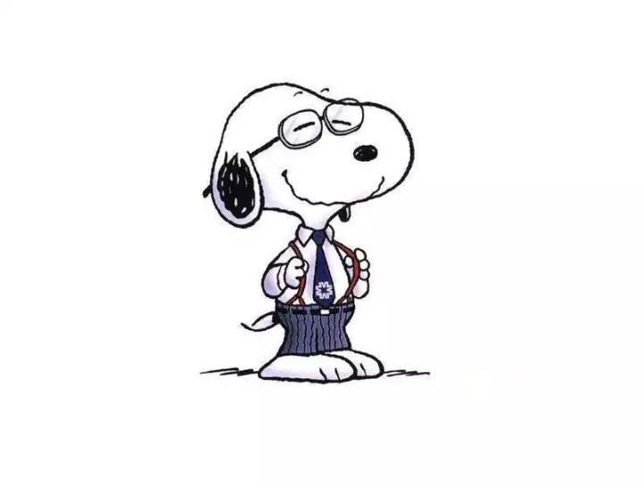 关于狗狗的动画片有哪些