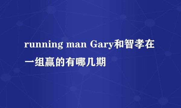 running man Gary和智孝在一组赢的有哪几期