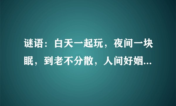 谜语:白天一起玩,夜间一块眠,到老不分散,人间好姻缘(打一动物)