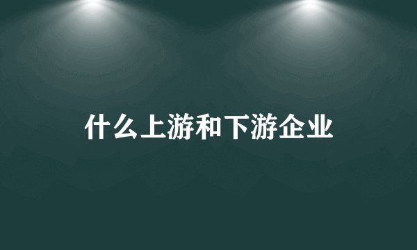 什么上游和下游企业