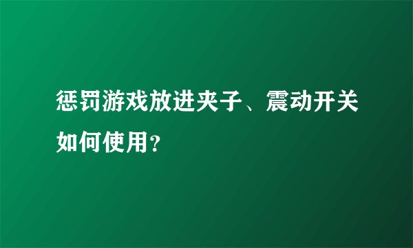 惩罚游戏放进夹子、震动开关如何使用？