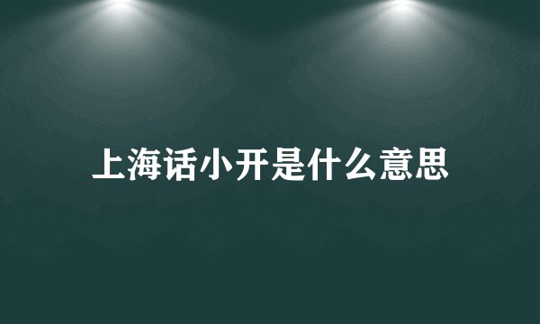 上海话小开是什么意思