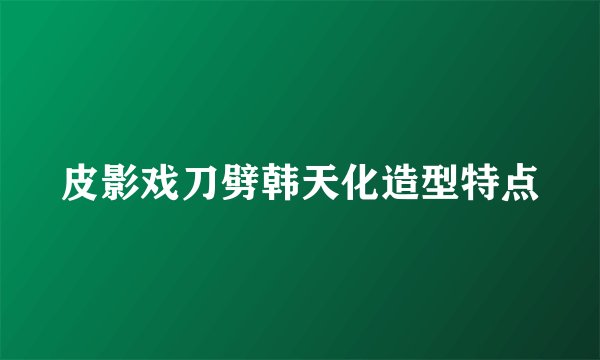 皮影戏刀劈韩天化造型特点