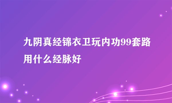 九阴真经锦衣卫玩内功99套路用什么经脉好