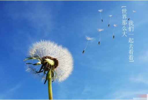 我们到什么去吧,去看看什么,看看什么,看看什么？