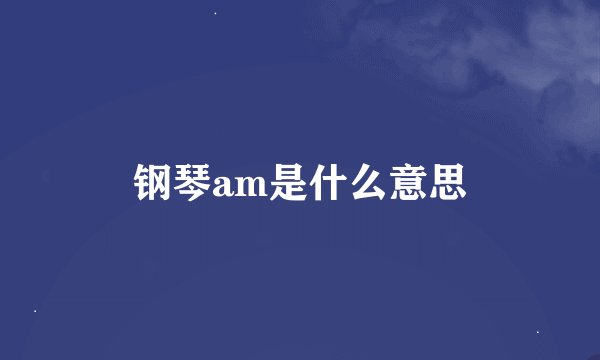 钢琴am是什么意思