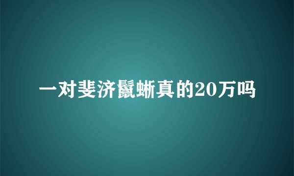 一对斐济鬣蜥真的20万吗