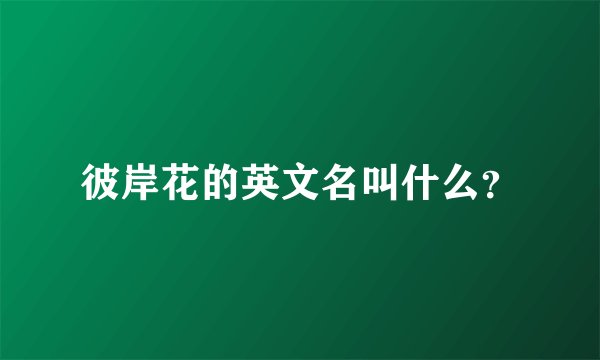 彼岸花的英文名叫什么？