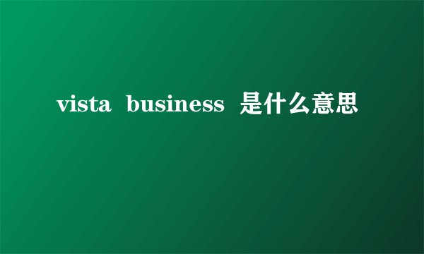 vista  business  是什么意思