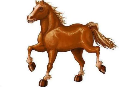 一水之隔几个生肖