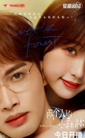 两个人的小森林几点更新