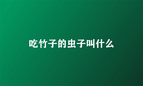 吃竹子的虫子叫什么