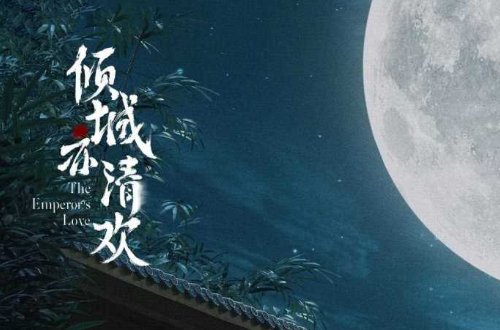 陈紫函演的电视剧有哪些