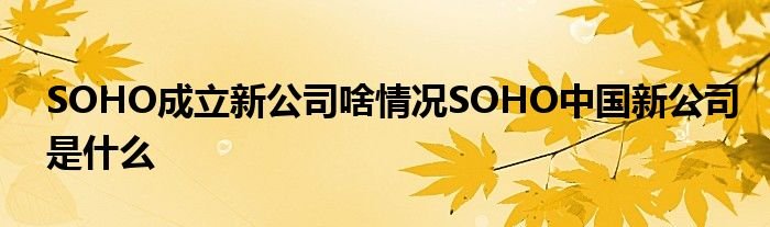 SOHO成立新公司啥情况SOHO中国新公司是什么