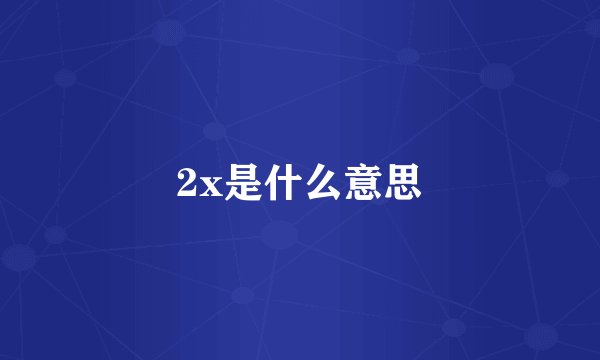 2x是什么意思