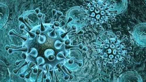 专家：BA.5传播性强致病性弱，如何避免大规模本土传播？