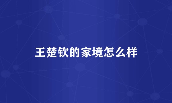 王楚钦的家境怎么样