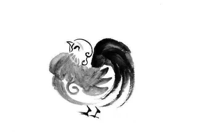 亲密无间猜一生肖