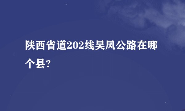 陕西省道202线吴凤公路在哪个县?
